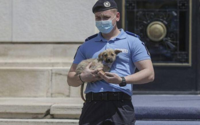 Foto: Viața Liberă