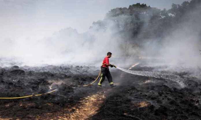 Foto: The Guardian