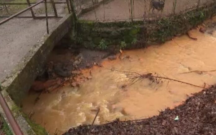 Sursa foto: Știrile Pro TV