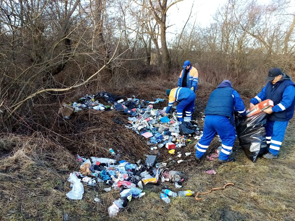 În februarie 2021, echipa Tega SA Sf Gheorghe a preluat deșeurile aruncate pe malul Oltului de un service-auto
