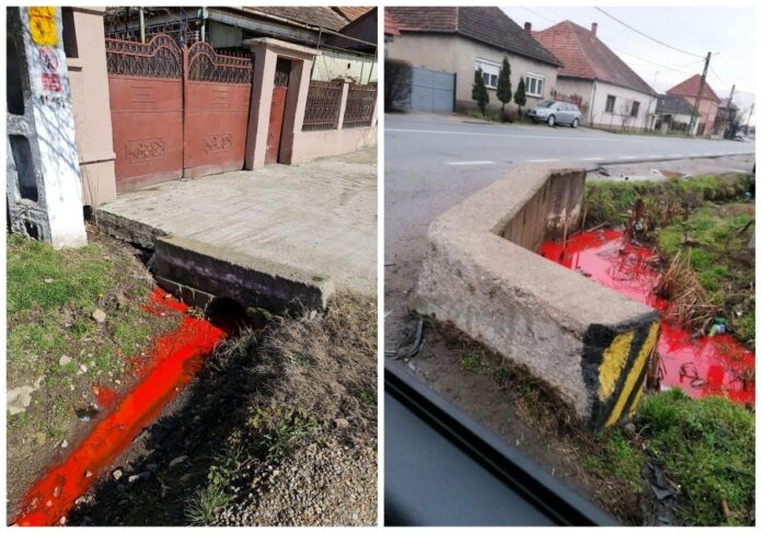 sursa foto: Garda de Mediu Bihor