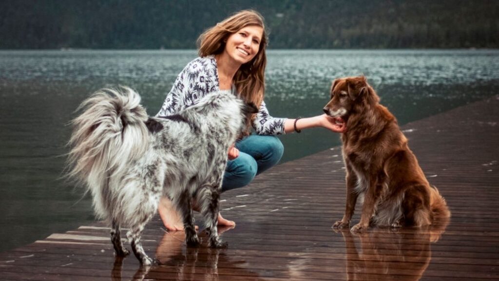 câini, fotografii cu câini, Anne Geier
