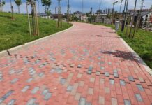 Planurile urbanistice care îngropă ultimele păduri periurbane ale Bucureștiului