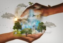 Ozon la sol: poluarea care crește în zilele fierbinți, chiar când cerul pare limpede Foto: Pixabay
