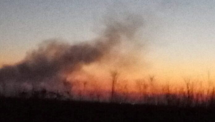 Imagine din apropierea depozitului de deseuri Vidra, realizată de Octavian Berceanu, fost comisar al Gărzii de Mediu . Sursa: Facebook