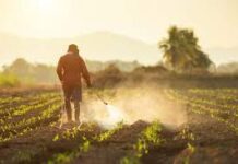 Pesticidele „sigure” din mediu pot crește riscul de cancer cu 150%. Iată cum