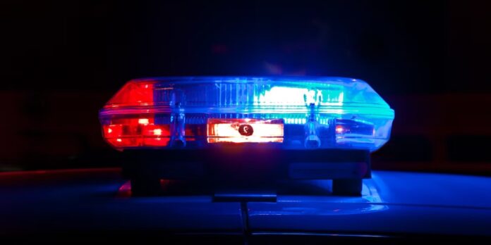 politia locala slatina a schimbat rablele cu masini electrice