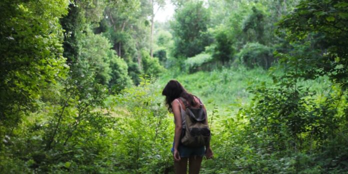 spatii verzi medicamente prescrise