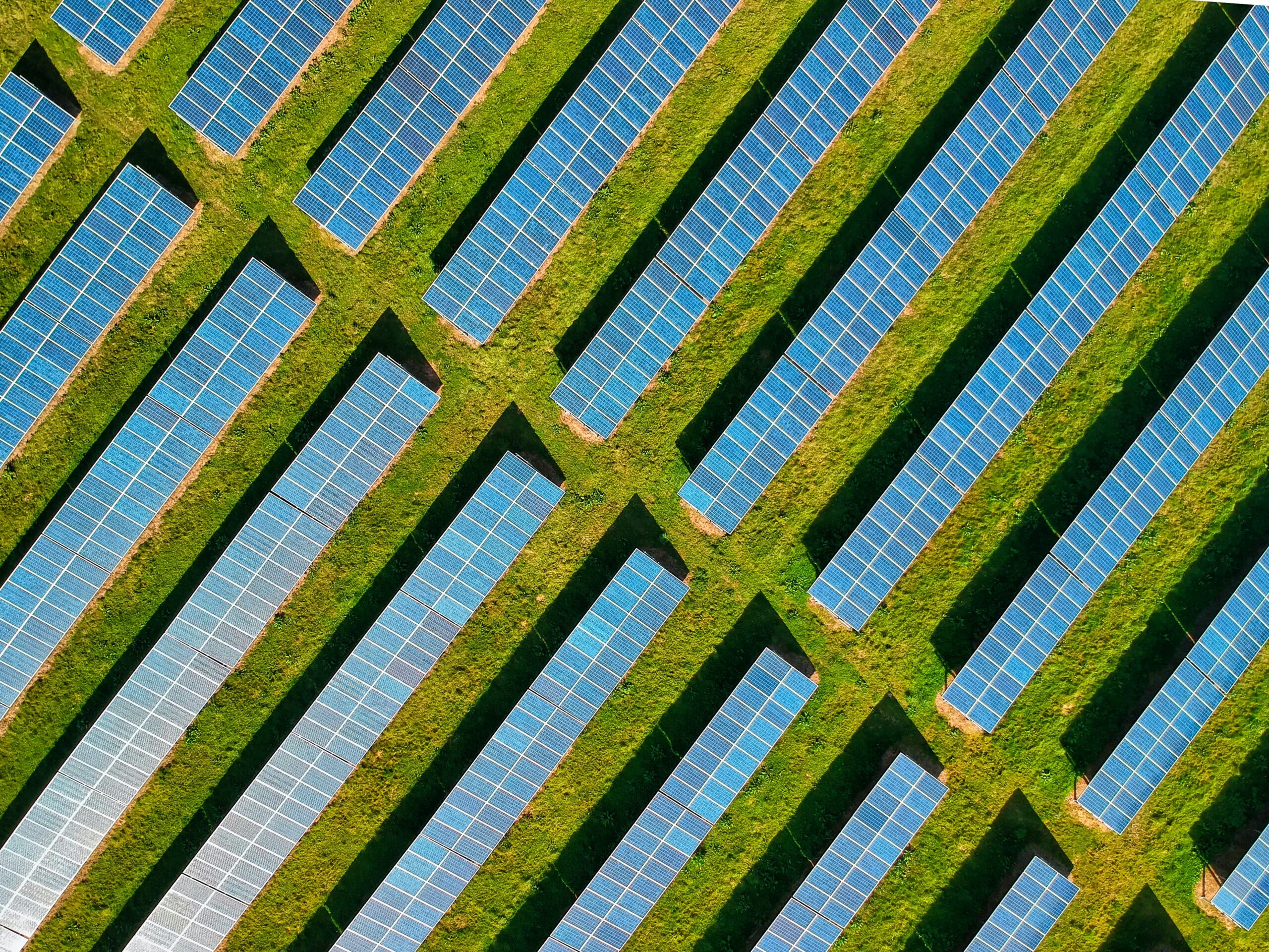 Celule fotovoltaice - foto: Red Zappelin, Unsplash