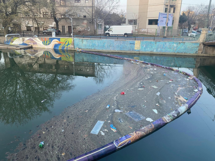 Foto: Asociația Mai Mult Verde