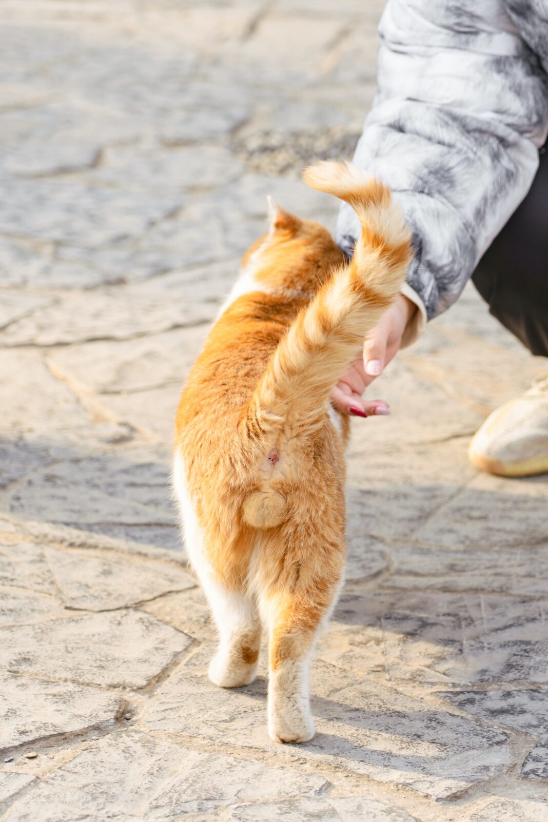 Foto: Unsplash