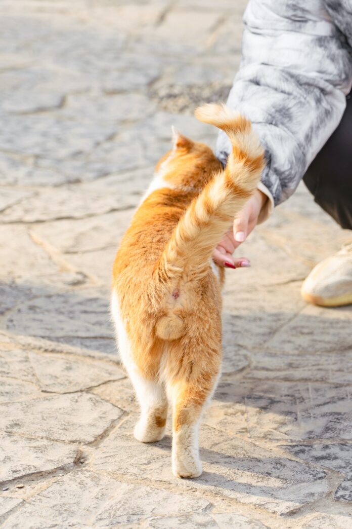 Foto: Unsplash