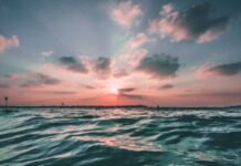 De ce oceanele absorb mai puțin dioxid de carbon decât în trecut