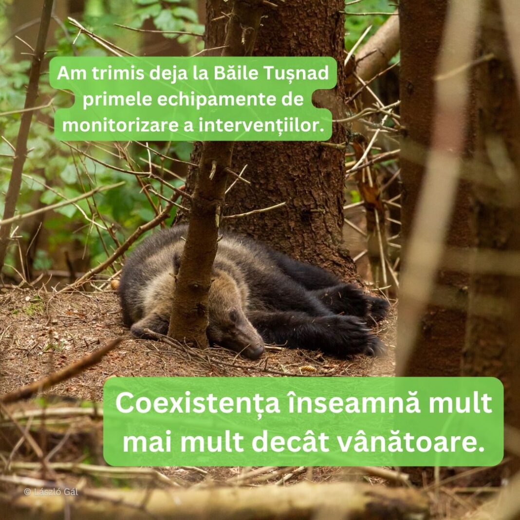 Foto: Facebook/WWF România