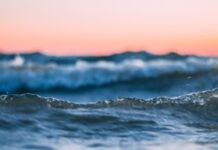 Apa devine activ financiar: cum transformă obligațiunile verzi securitatea apei într-un instrument economic