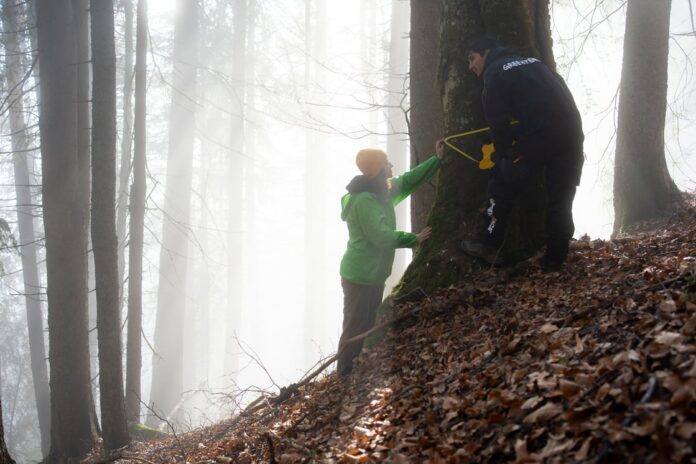 Foto: Greenpeace România