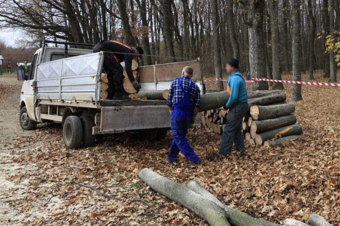 Foto: Facebook/WWF România