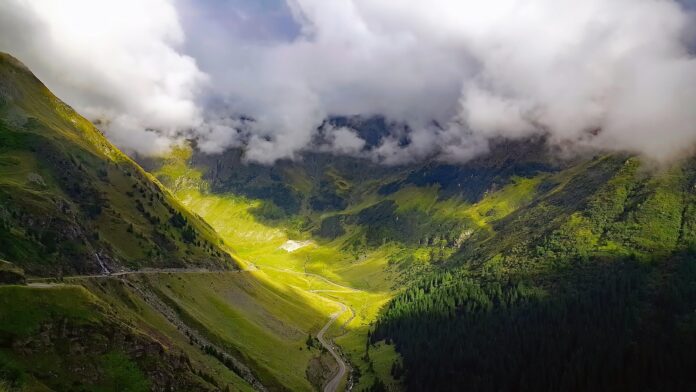 Sursă foto: Pixabay