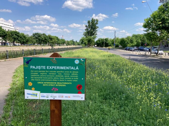 Foto: Facebook/Parcul Natural Văcărești