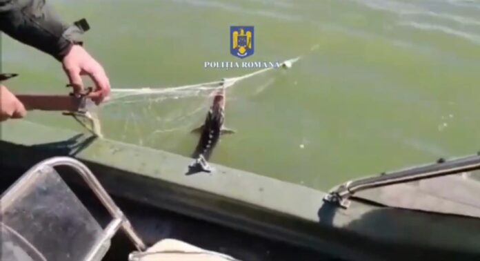 Captură video/Poliția Română