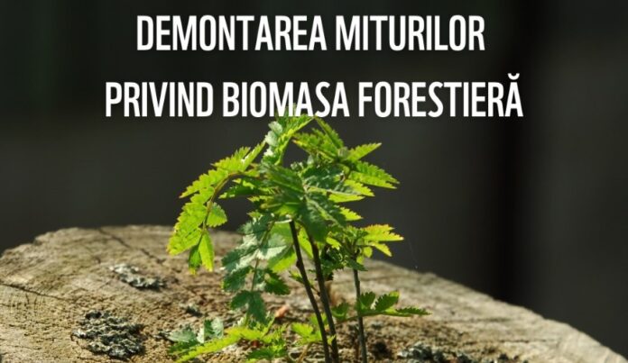 Foto: Facebook/WWF România