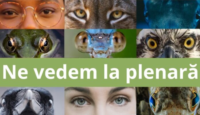 Foto: Facebook/WWF România