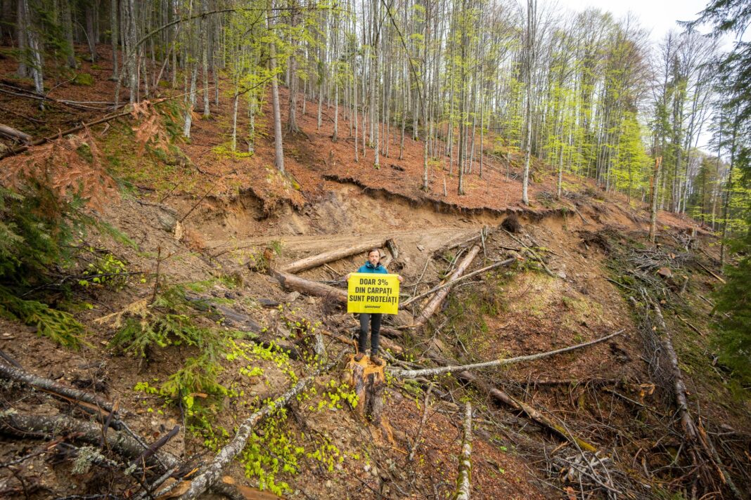 Foto: Facebook/Greenpeace Romania