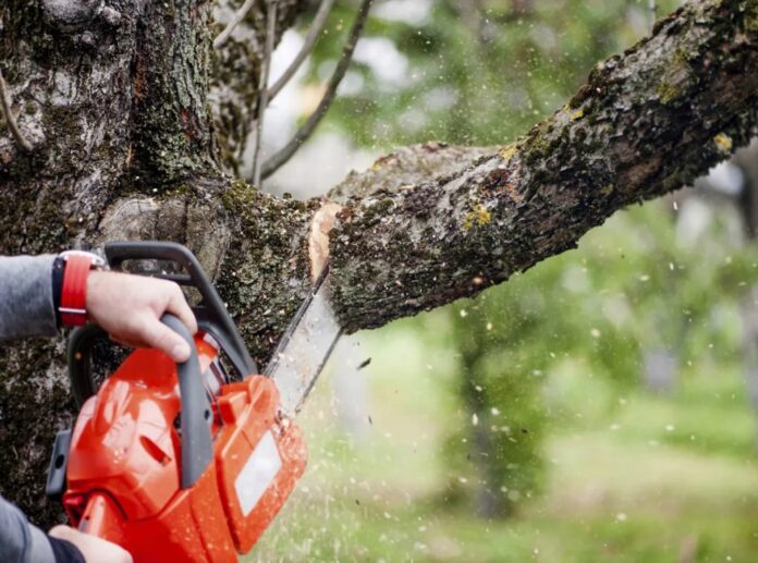 Foto: Facebook/Radio Eco Natura