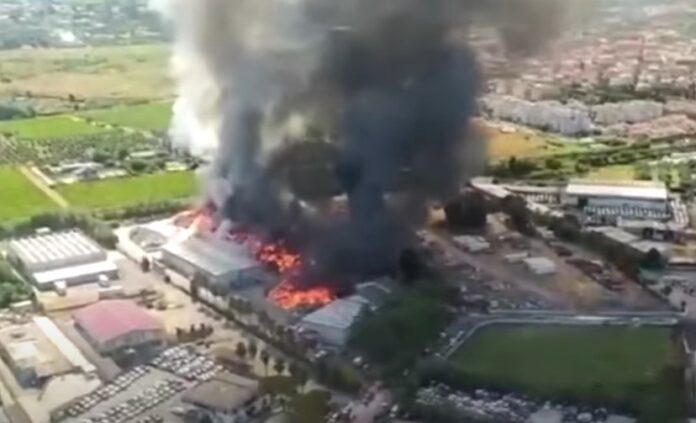 Captură video: Youtube/Reuters