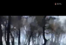 VIDEO EXCLUSIV – VOCEA GRECIEI ÎN FLĂCĂRI ACUZĂ: GUVERNUL GREC, DIN NOU NEPREGĂTIT PENTRU A FACE FAȚĂ PERICOLELOR PREZENTATE DE INCENDII