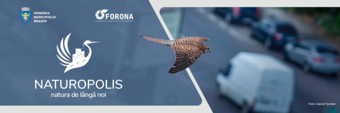 Sursă foto: Gabriel Șerban Sursă foto: Gabriel Șerban