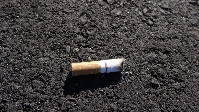 Sursă foto: Pixabay