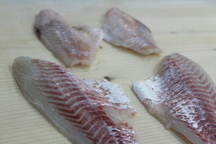 Sursă foto: Pixabay