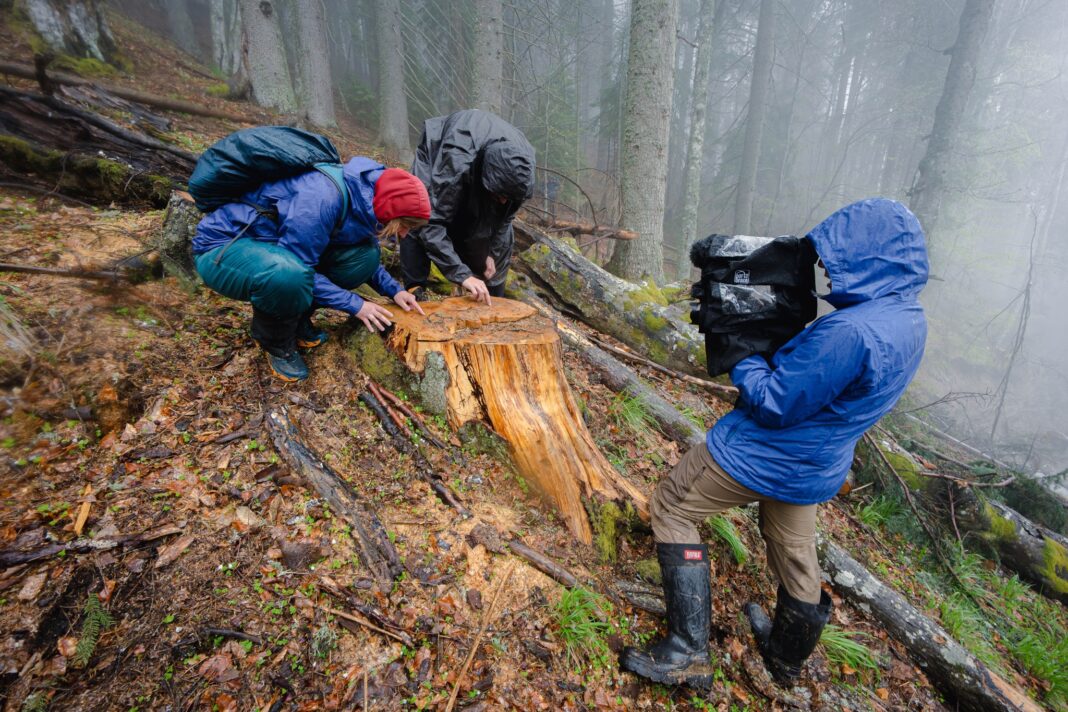 Foto: Răzvan Dima în Expediția prin Carpați/Greenpeace România