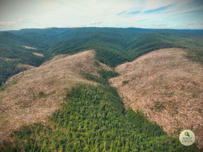 Sursă foto: Facebook/Agent Green