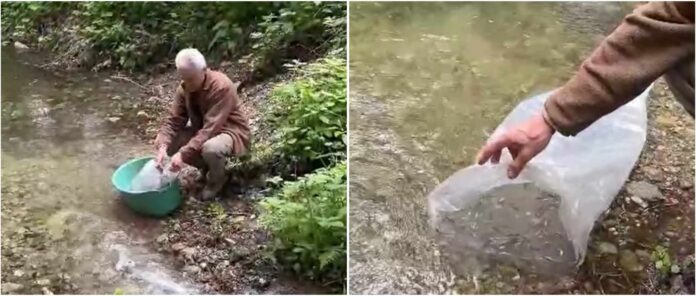 Captură video/Romsilva