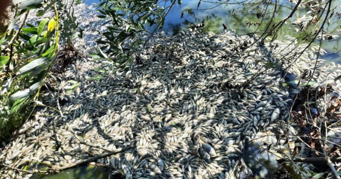 Foto: Facebook/Știri 24 Foto: Facebook/Știri 24