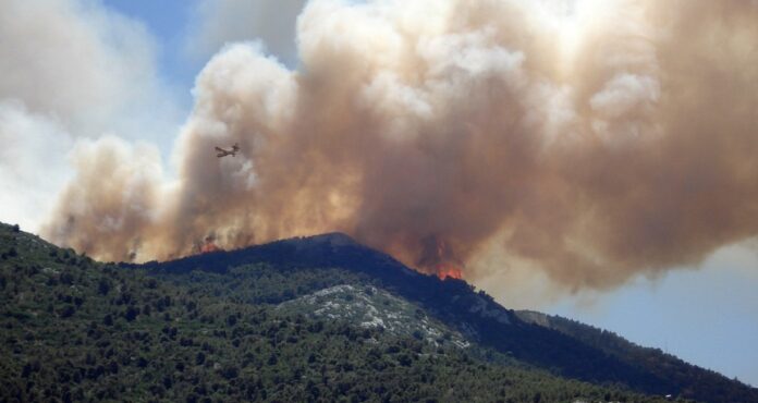 Foto: Facebook/Radio Eco Natura Foto: Facebook/Radio Eco Natura