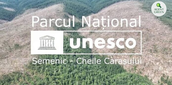 Sursă foto: Agent Green Sursă foto: Agent Green