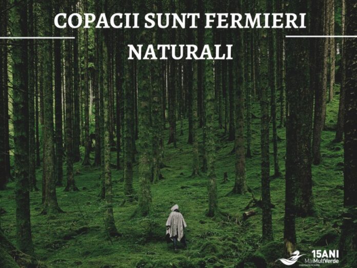 Foto: Facebook/Mai Mult Verde Foto: Facebook/Mai Mult Verde