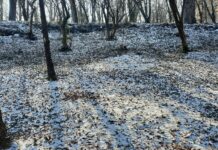 Super El Niño vine. Ce înseamnă asta pentru iarna României din 2026-2027