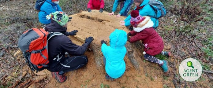 Sursă foto: Agent Green