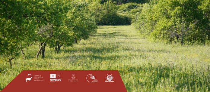 Foto: Facebook/Geoparcul Internațional UNESCO Țara Hațegului