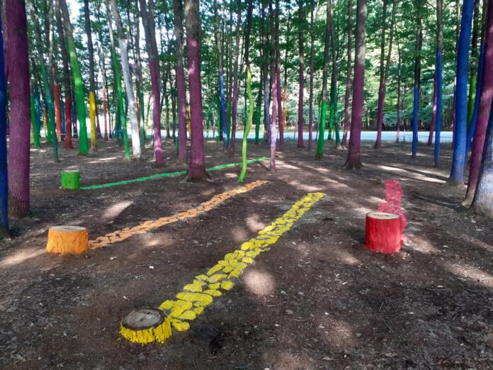 Sursă foto: Facebook Sursă foto: Facebook