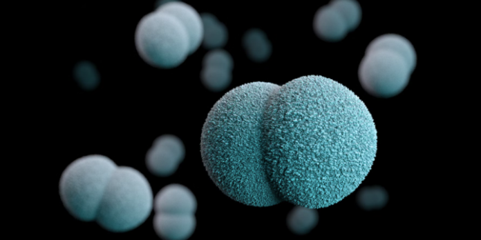 bacterii marine ocean