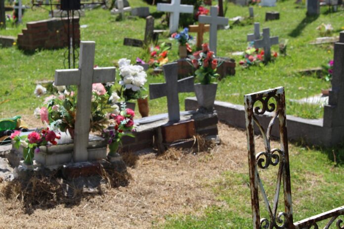 Sursă foto: Pixabay