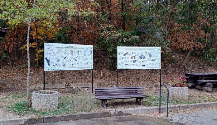 Sursă foto: Facebook/Societatea Ornitologică Română