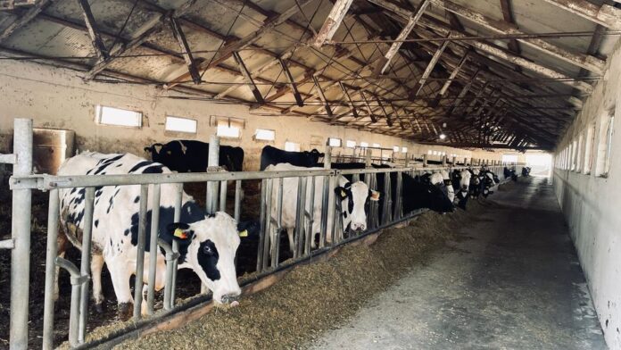 Sursă foto: Facebook/Ministerul Mediului - România