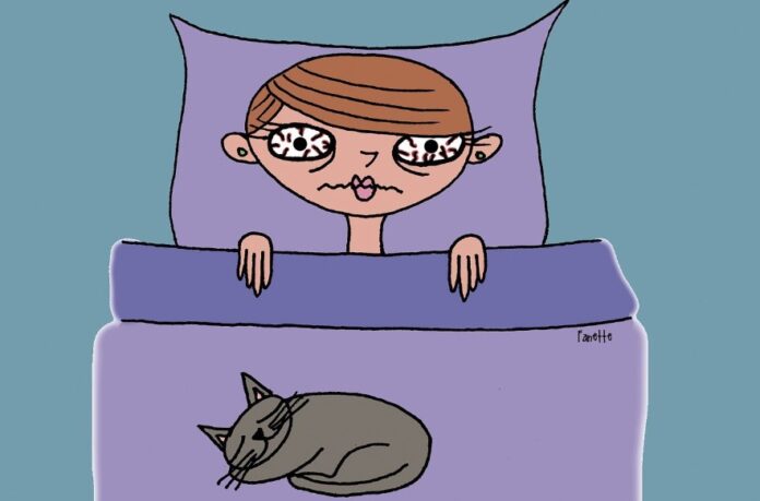 Sursă foto: Pixabay