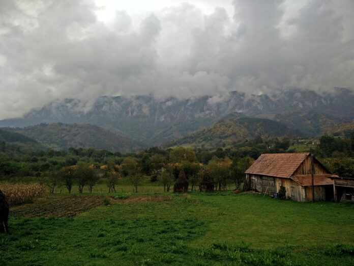 Sursa foto: Pixabay Sursa foto: Pixabay